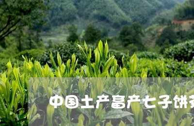 中国土产畜产七子饼茶红印/2023051161603