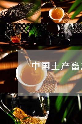 中国土产畜产七子饼茶绿印/2023051170604