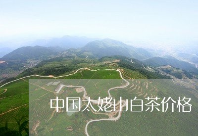 中国太姥山白茶价格/2023071437368