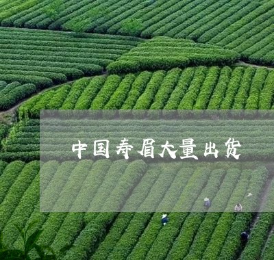 中国寿眉大量出货/2023061417272