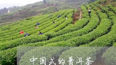 中国式的普洱茶/2023112550525