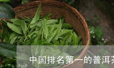 中国排名第一的普洱茶/2023093083605