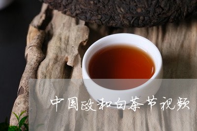 中国政和白茶节视频/2023121606079