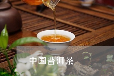 中国普洱茶/2023090630512