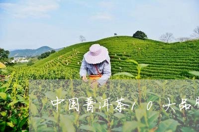 中国普洱茶10大品牌/2023100632607