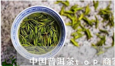 中国普洱茶top商家/2023062710671