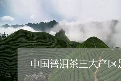 中国普洱茶三大产区是哪/2023082866929