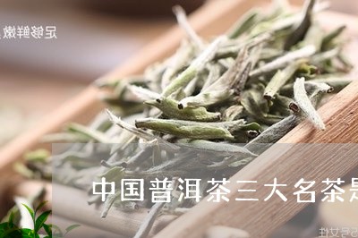 中国普洱茶三大名茶是/2023062006252