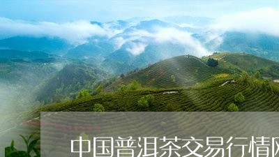 中国普洱茶交易行情网/2023092936049