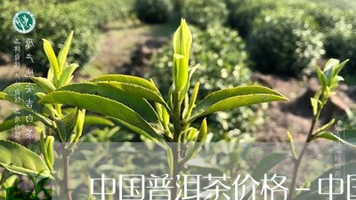 中国普洱茶价格-中国/2023101702927