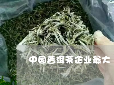 中国普洱茶企业最大/2023070963139