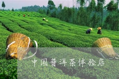 中国普洱茶体验店/2023120498281