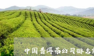 中国普洱茶公司排名前十名/2023112505936