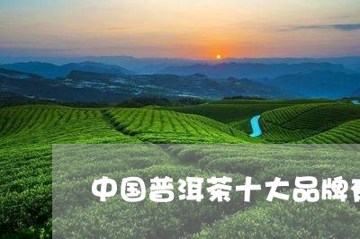 中国普洱茶十大品牌有哪些茶/2023052954937