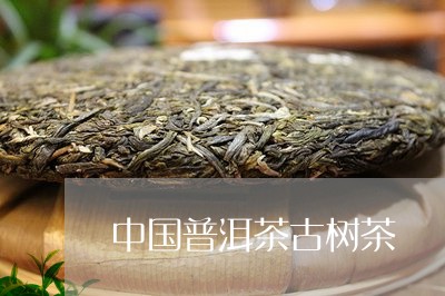 中国普洱茶古树茶/2023120483926