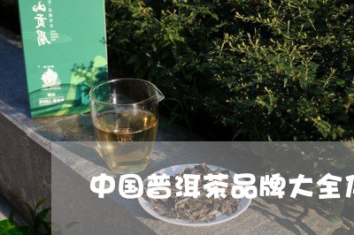 中国普洱茶品牌大全及价格/2023112415837