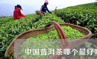 中国普洱茶哪个最好喝最贵/2023082873805