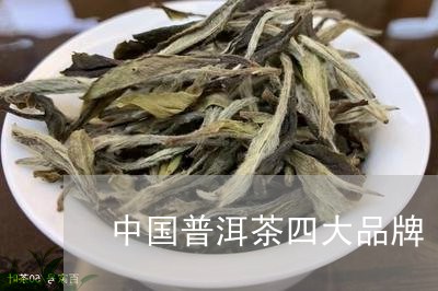 中国普洱茶四大品牌/2023120599613