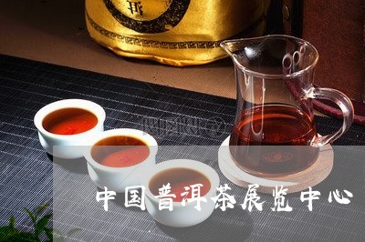 中国普洱茶展览中心/2023120545050