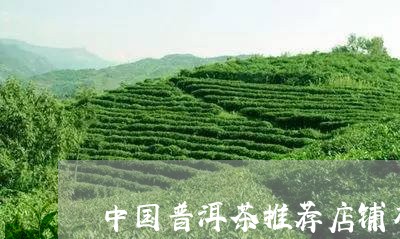 中国普洱茶推荐店铺有哪些/2023082839693