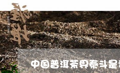 中国普洱茶界泰斗是谁啊/2023050424936