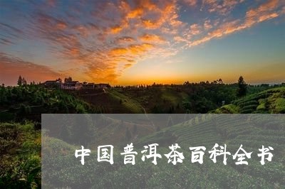 中国普洱茶百科全书/2023071053928