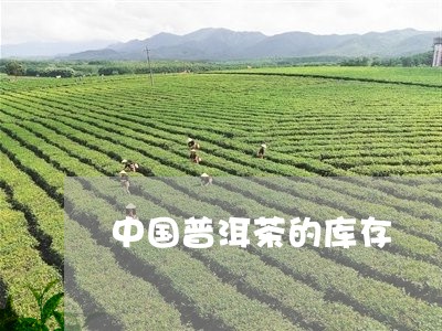 中国普洱茶的库存/2023101671503