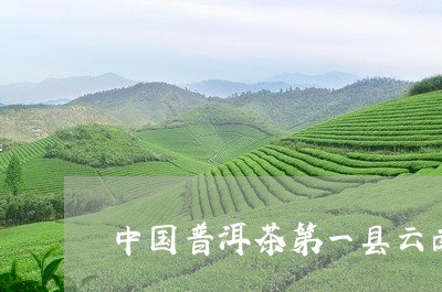 中国普洱茶第一县云南/2023062165158