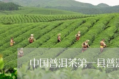 中国普洱茶第一县普洱价格查询/2023053014804