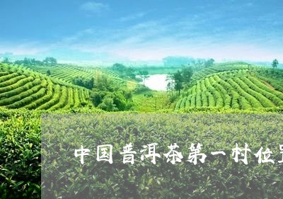 中国普洱茶第一村位置/2023092649304