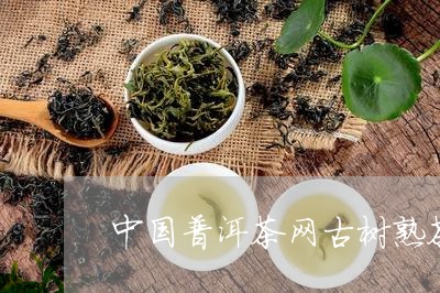 中国普洱茶网古树熟茶/2023062359526