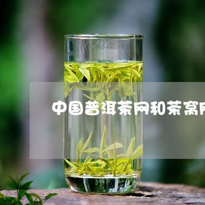 中国普洱茶网和茶窝网/2023062211945