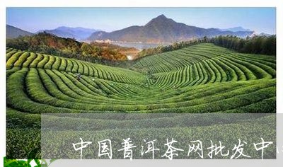 中国普洱茶网批发中心/2023080148473