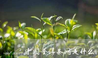 中国普洱茶网是什么鸟/2023073032049