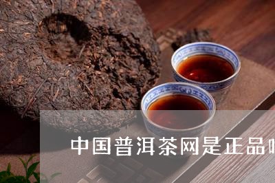 中国普洱茶网是正品吗/2023062145370