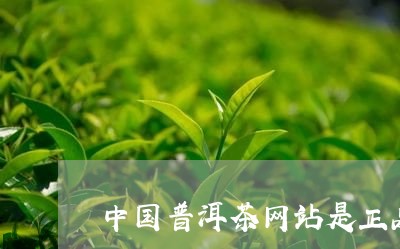 中国普洱茶网站是正品/2023100749372