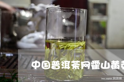 中国普洱茶网霍山黄芽/2023073131615