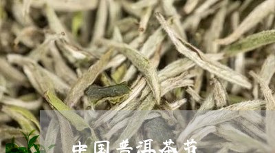 中国普洱茶节/2023042910109