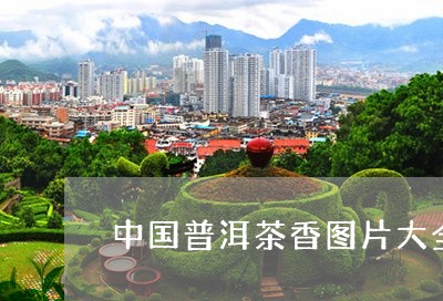 中国普洱茶香图片大全/2023062439604