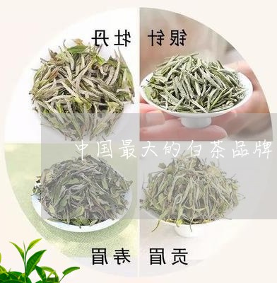 中国最大的白茶品牌/2023121695956