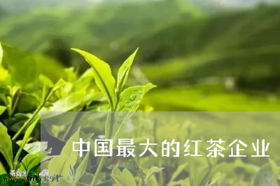 中国最大的红茶企业/2023042009380