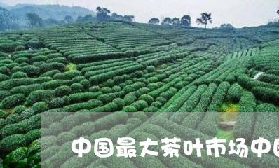 中国最大茶叶市场中国茶叶市场容量/2023060430493