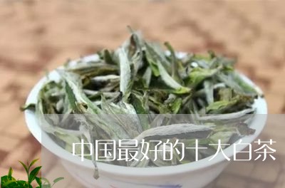 中国最好的十大白茶/2023121615848