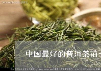 中国最好的普洱茶前十大厂/2023112899404