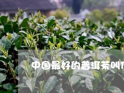 中国最好的普洱茶叫什么/2023120785169