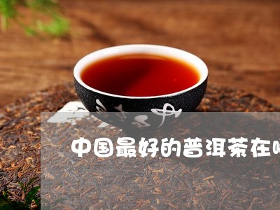 中国最好的普洱茶在哪/2023080239584