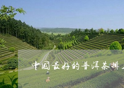 中国最好的普洱茶排名/2023080331503