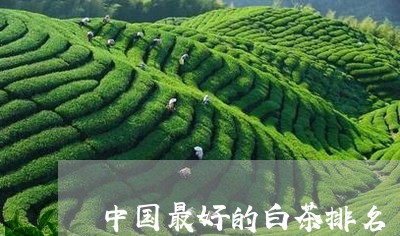 中国最好的白茶排名/2023121666250