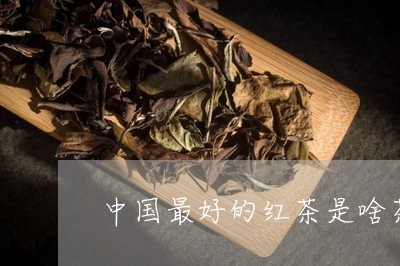 中国最好的红茶是啥茶/2023071477280