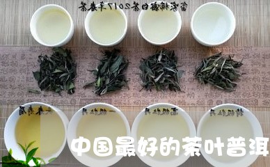 中国最好的茶叶普洱茶/2023080175150